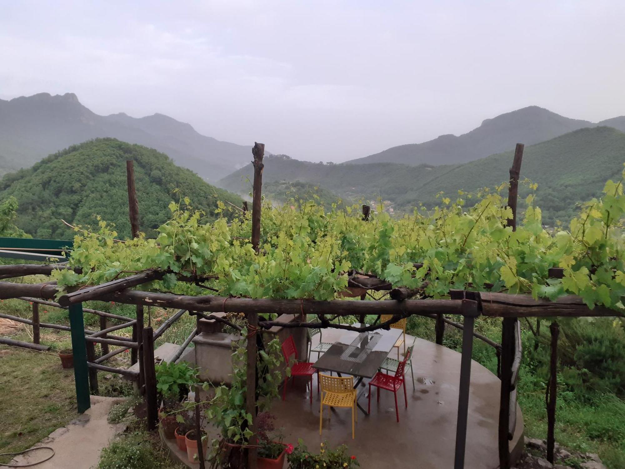 فيلا La Casa In Vigna ترامونتي المظهر الخارجي الصورة