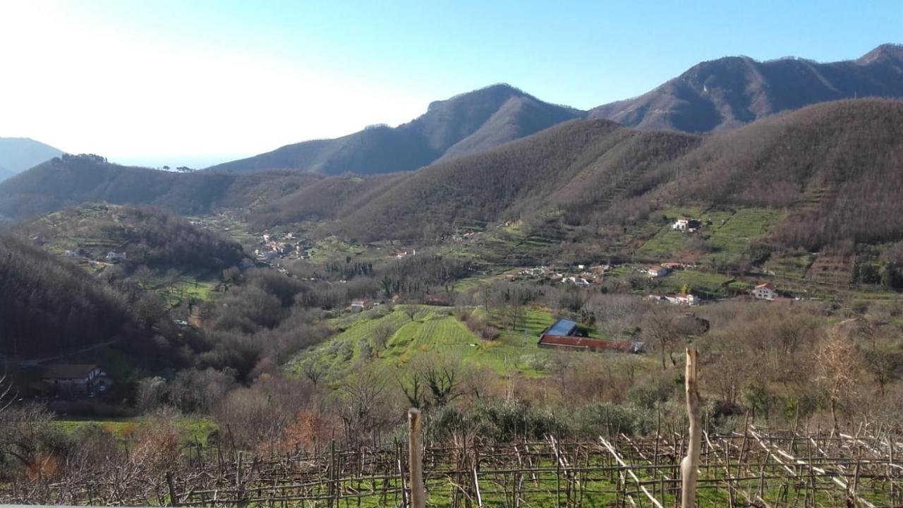 فيلا La Casa In Vigna ترامونتي المظهر الخارجي الصورة